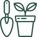Plantación