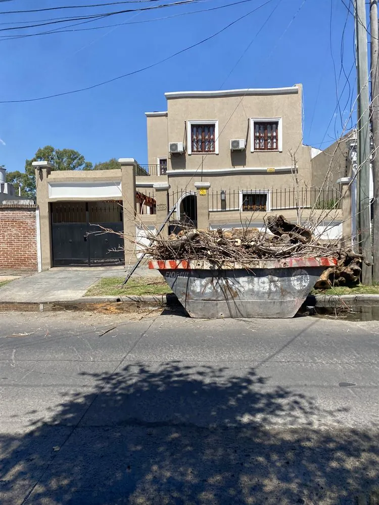 Limpieza y retiro de ramas en la vereda