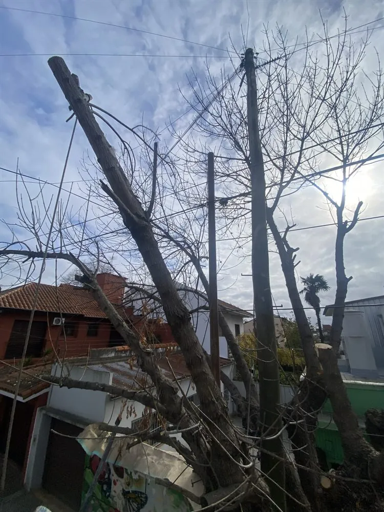 Camión con cesta hidráulica para poda en altura
