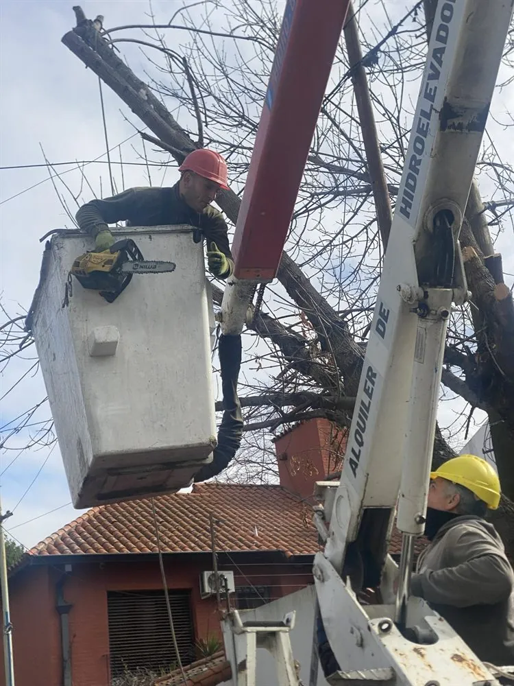 Poda en altura con camión cesta sobre el cableado