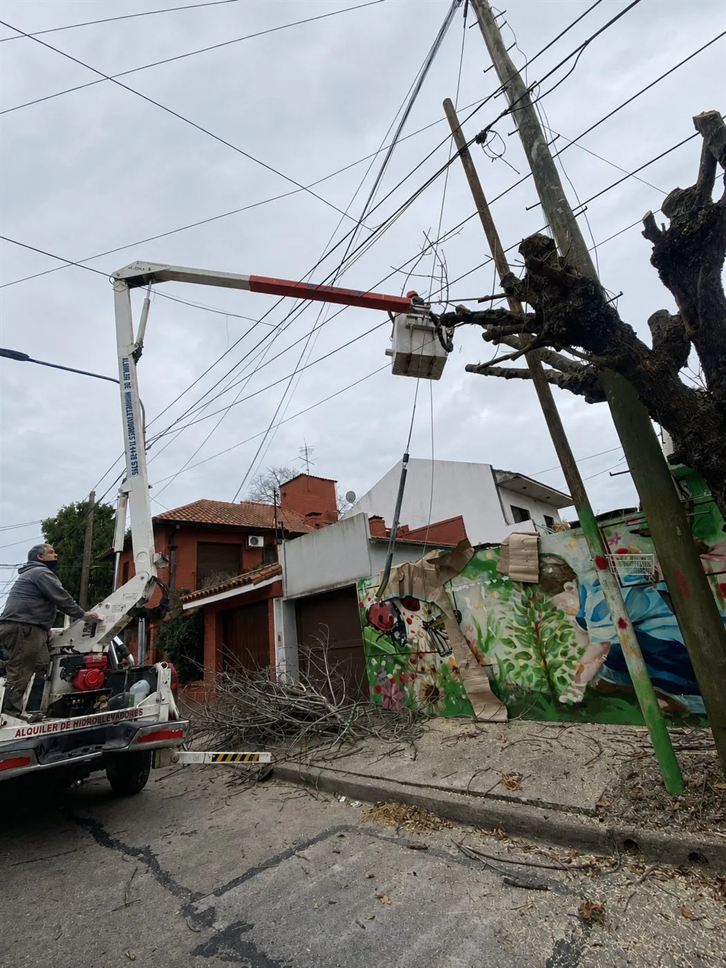 Hidroelevadora podando ramas sobre los cables de la calle