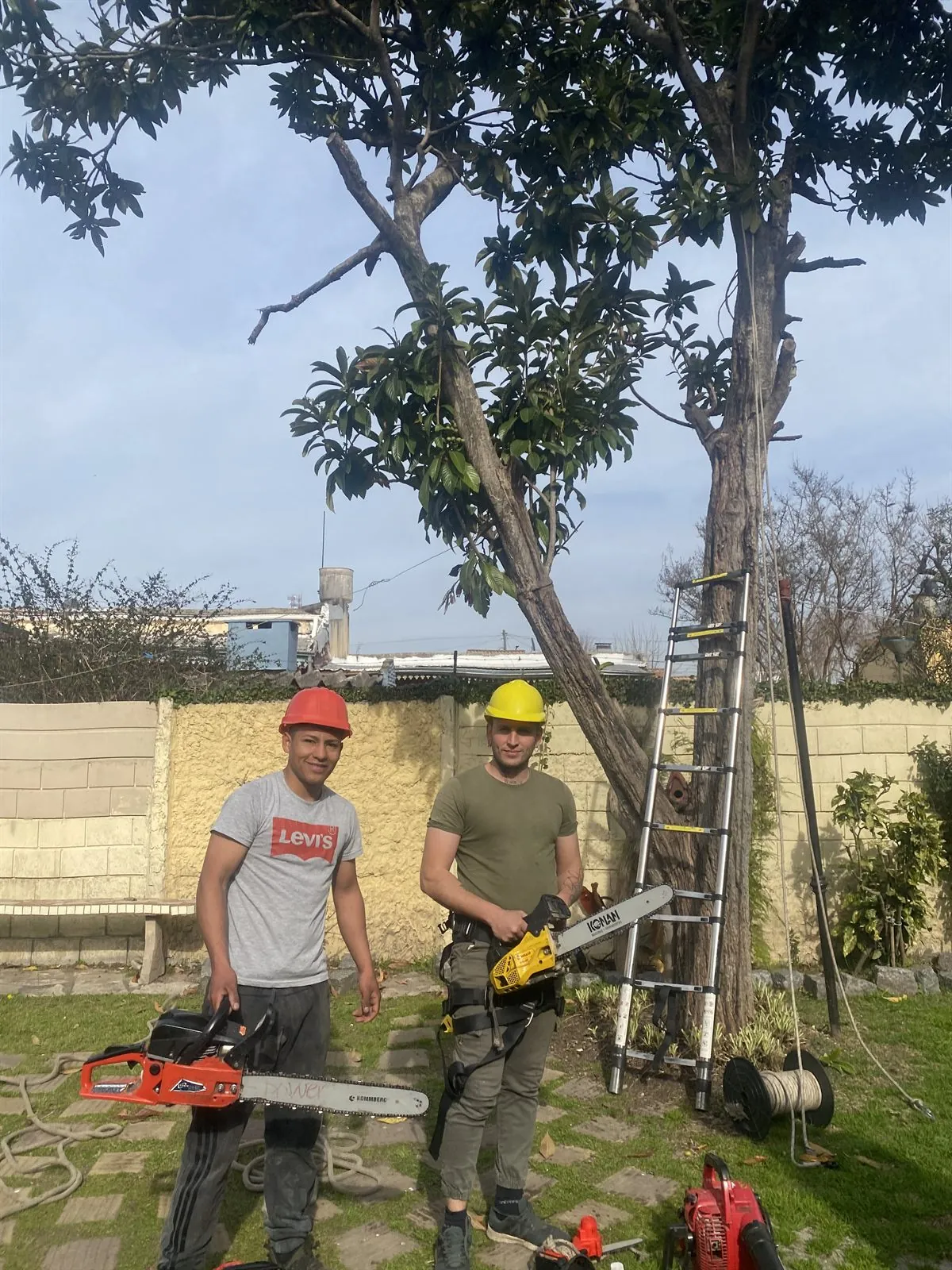 Equipo de Poda y Tala Krynski con cascos y motosierras