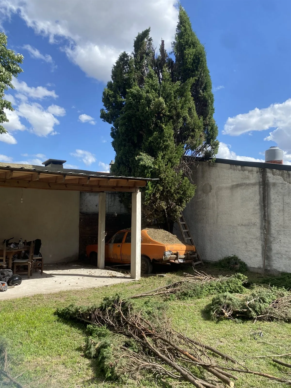 Extracción de árbol con retroexcavadora